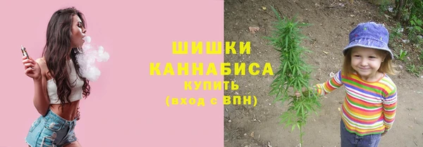 соль ск Белокуриха